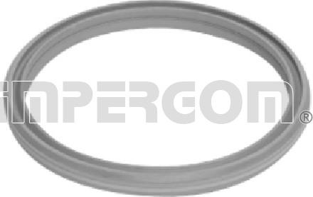 IMPERGOM 20285 - Кільце ущільнювача, трубка, що нагнітається autocars.com.ua