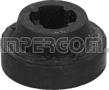 IMPERGOM 27165 - Підвіска, радіатор autocars.com.ua