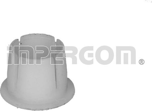 IMPERGOM 30291 - Втулка, шток вилки перемикання передач autocars.com.ua