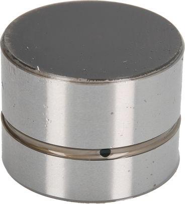 INA 420 0022 10 - Штовхач, гидрокомпенсатор autocars.com.ua