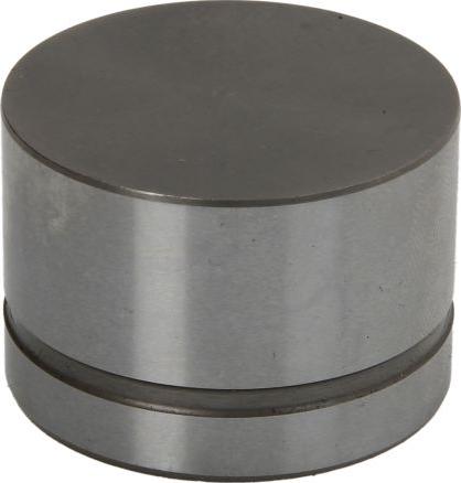 INA 420 0042 10 - Штовхач, гидрокомпенсатор autocars.com.ua