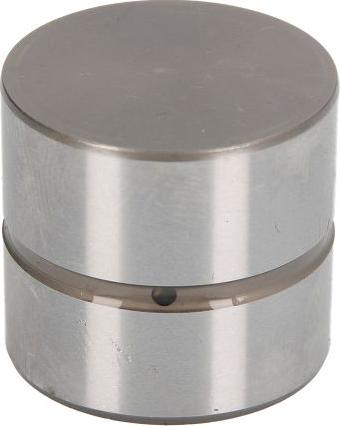 INA 420 0105 10 - Штовхач, гидрокомпенсатор autocars.com.ua