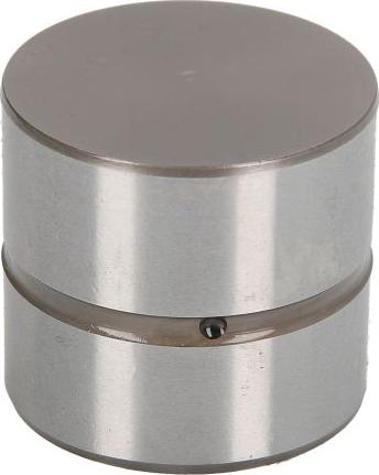 INA 420 0220 10 - Штовхач, гидрокомпенсатор autocars.com.ua