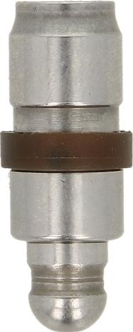 INA 420 0254 10 - Штовхач, гидрокомпенсатор autocars.com.ua