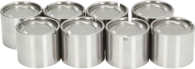 INA 421 0012 10 - Штовхач, гидрокомпенсатор autocars.com.ua