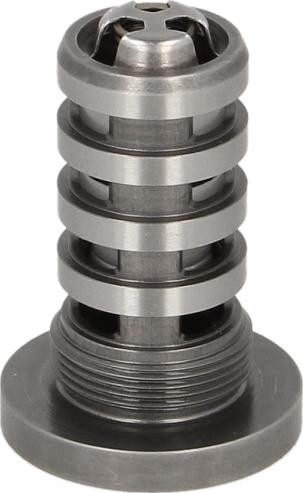 INA 427 0016 10 - Центральний клапан, шестерня приводу розподільного вала autocars.com.ua