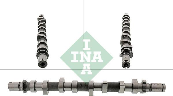 INA 428 0198 10 - Шток autocars.com.ua