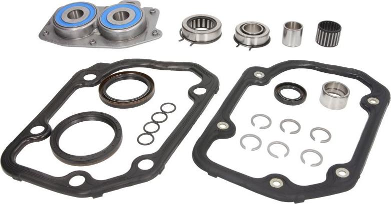 INA 462 0055 10 - Ремонтний комплект, ступінчаста коробка передач autocars.com.ua