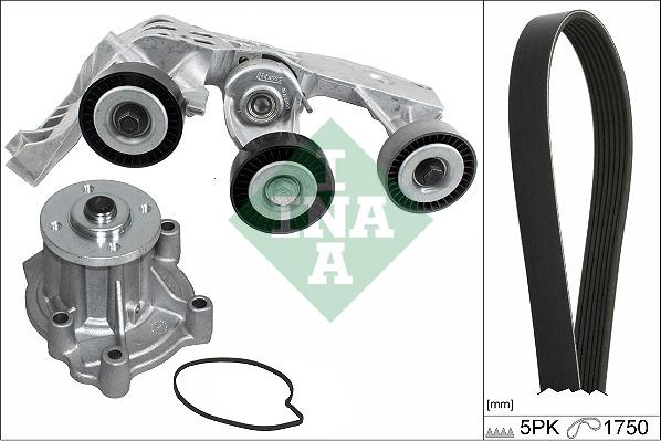 INA 529 0081 31 - Водяной насос + комплект ручейковых ремней avtokuzovplus.com.ua