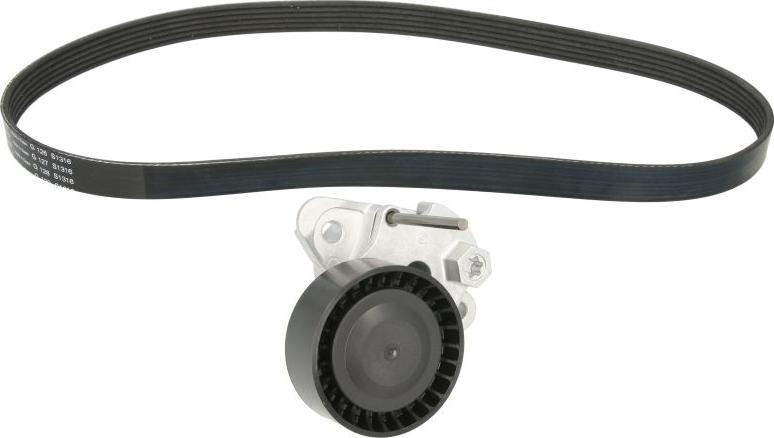 INA 529 0159 10 - Поликлиновий ремінний комплект autocars.com.ua