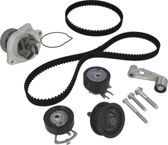 INA 530 0089 31 - Водяний насос + комплект зубчатого ременя autocars.com.ua