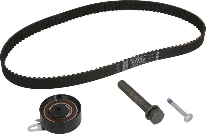 INA 530 0173 10 - Комплект ременя ГРМ autocars.com.ua