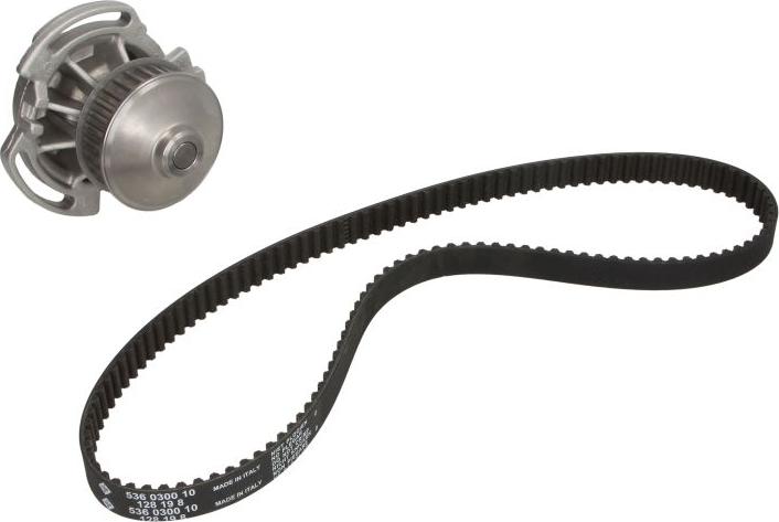 INA 530 0586 30 - Водяний насос + комплект зубчатого ременя autocars.com.ua