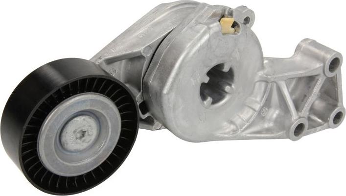 INA 533 0076 30 - Натягувач ременя, клинові зуб. autocars.com.ua