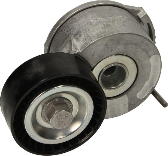 INA 534 0369 10 - Натягувач ременя, клинові зуб. autocars.com.ua