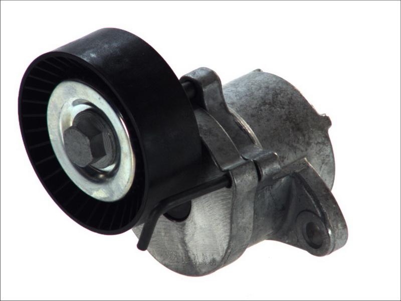 INA 534 0439 10 - Натягувач ременя, клинові зуб. autocars.com.ua