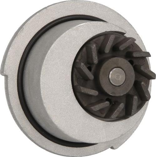 INA 538 0012 10 - Водяний насос autocars.com.ua