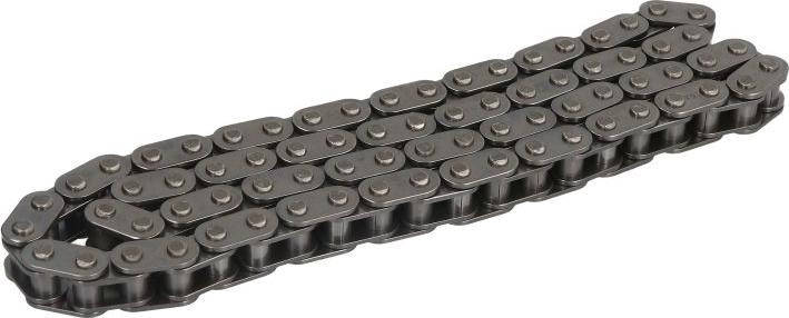 INA 553 0290 10 - Ланцюг приводу распредвала autocars.com.ua