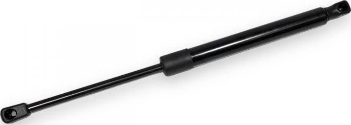 INA-FOR INF25.1007 - Газова пружина, кришка багажник autocars.com.ua