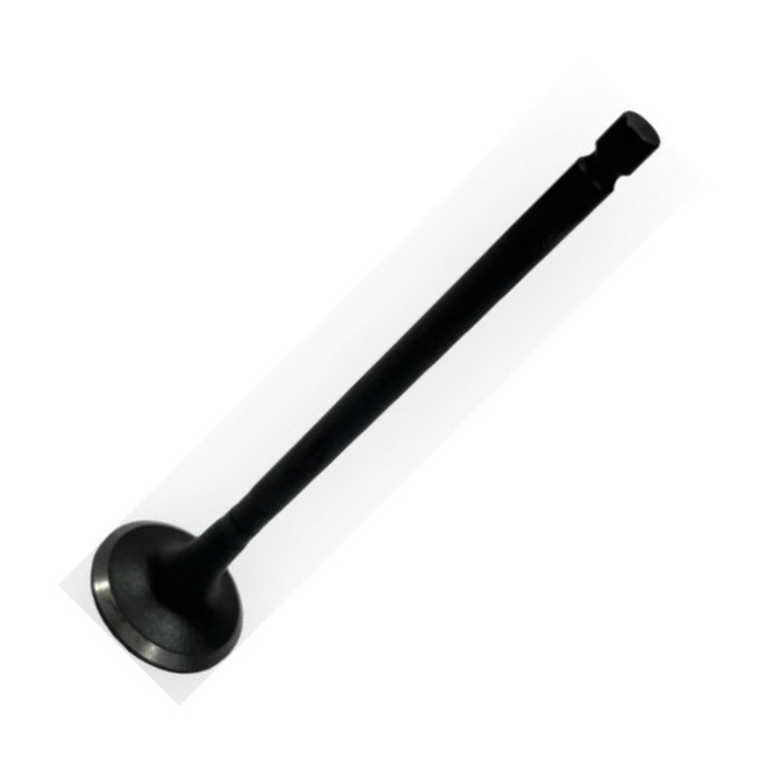 INA-FOR INF28.2201 - Випускний клапан autocars.com.ua