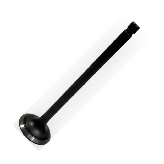 INA-FOR INF31.2001 - Випускний клапан autocars.com.ua