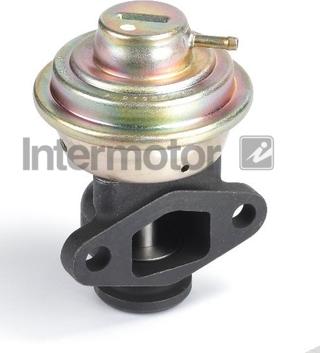 INTERMOTOR 14919 - Клапан повернення ОГ autocars.com.ua