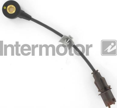 INTERMOTOR 70055 - Датчик детонації autocars.com.ua