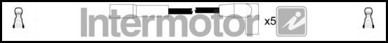 INTERMOTOR 73800 - Комплект проводів запалювання autocars.com.ua