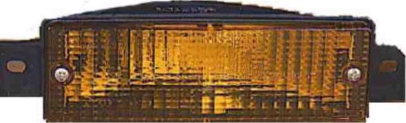 Iparlux 14200341 - Бічний ліхтар, покажчик повороту autocars.com.ua