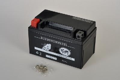IPSA TMBA50922 - Стартерна акумуляторна батарея, АКБ autocars.com.ua