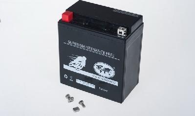 IPSA TMBA81600 - Стартерная аккумуляторная батарея, АКБ autodnr.net