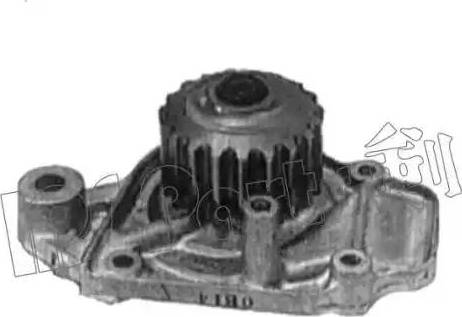 IPS Parts IPW-7419 - Водяний насос autocars.com.ua