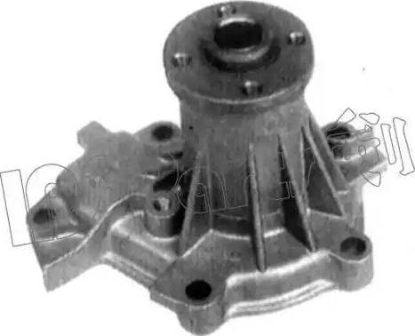 IPS Parts IPW-7609 - Водяний насос autocars.com.ua