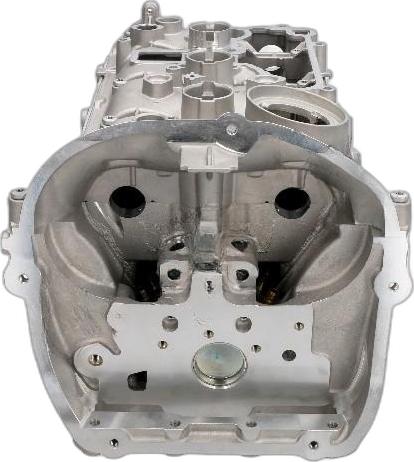 Japko JVW18ES - Головка циліндра autocars.com.ua