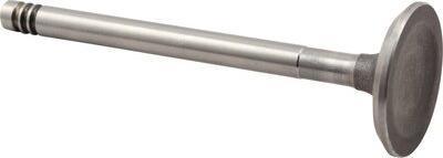 JP Group 8111300406 - Впускний клапан autocars.com.ua