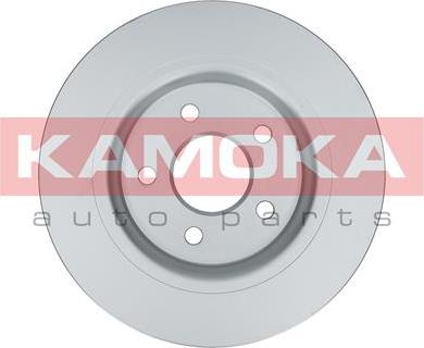 Kamoka 1031006 - Гальмівний диск autocars.com.ua
