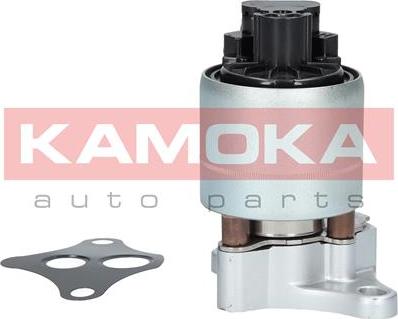 Kamoka 19003 - Клапан повернення ОГ autocars.com.ua