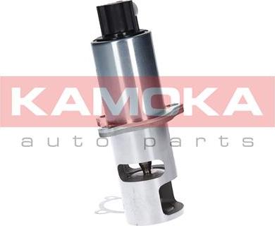 Kamoka 19010 - Клапан повернення ОГ autocars.com.ua