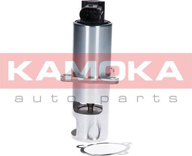 Kamoka 19010 - Клапан повернення ОГ autocars.com.ua