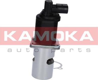 Kamoka 19015 - Клапан повернення ОГ autocars.com.ua