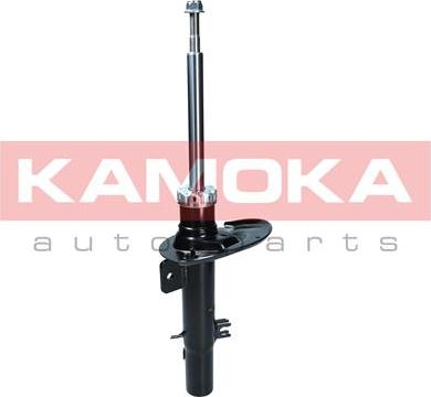 Kamoka 2000188 - Амортизатор autodnr.net