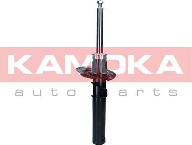 Kamoka 2001189 - Амортизатор avtokuzovplus.com.ua