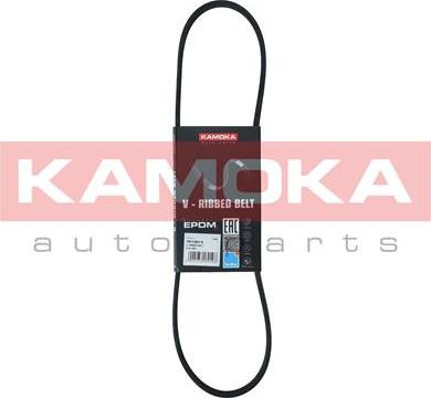 Kamoka 7013013 - Поликлиновой ремень avtokuzovplus.com.ua