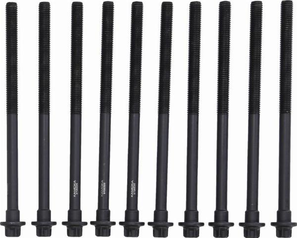 Kamoka 8709029 - Комплект болтів головки циліндрів autocars.com.ua