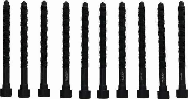 Kamoka 8709066 - Комплект болтів головки циліндрів autocars.com.ua