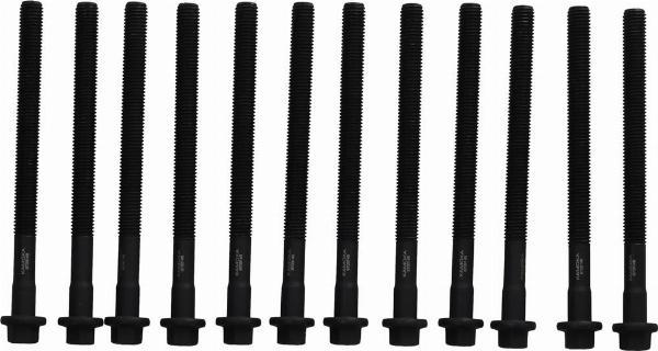 Kamoka 8709148 - Комплект болтів головки циліндрів autocars.com.ua