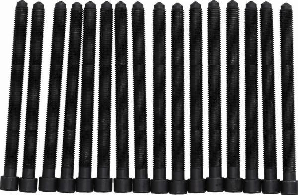 Kamoka 8709173 - Комплект болтів головки циліндрів autocars.com.ua