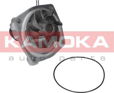 Kamoka T0006 - Водяной насос avtokuzovplus.com.ua