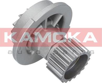 Kamoka T0066 - Водяний насос autocars.com.ua