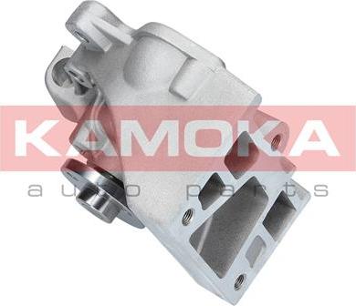 Kamoka T0120 - Водяний насос autocars.com.ua